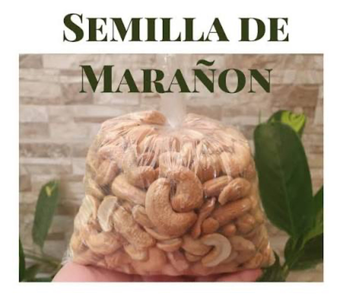 Semilla de Marañon (1 libra)