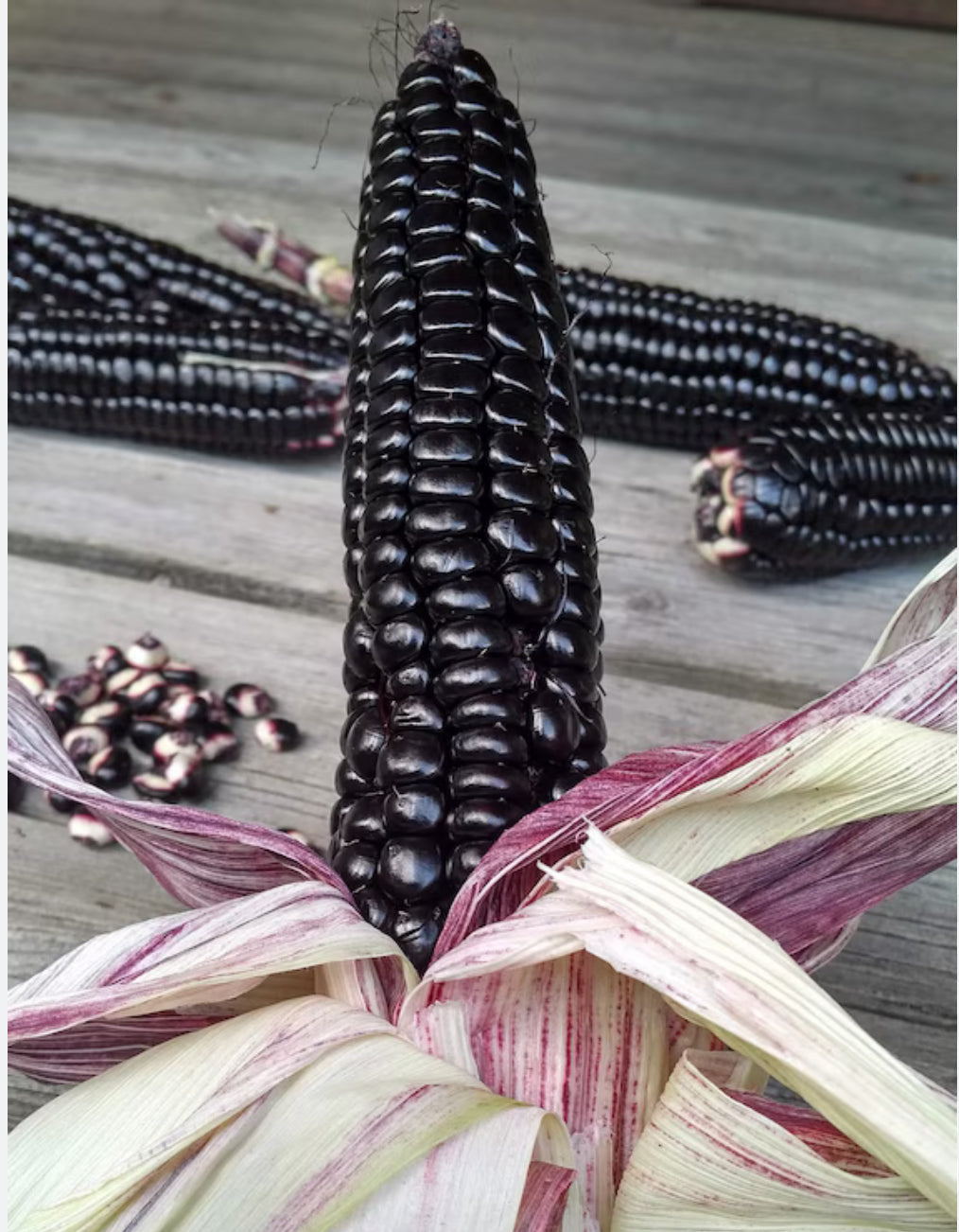 Maíz negrito (1 libra )