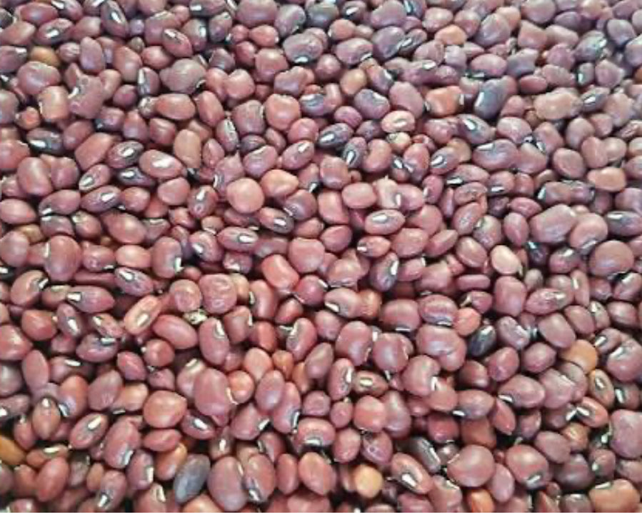 Frijol mono seco (1 libra)